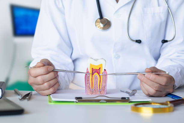 Best Urgent Dental Care for Toothaches in Brookside, NJ